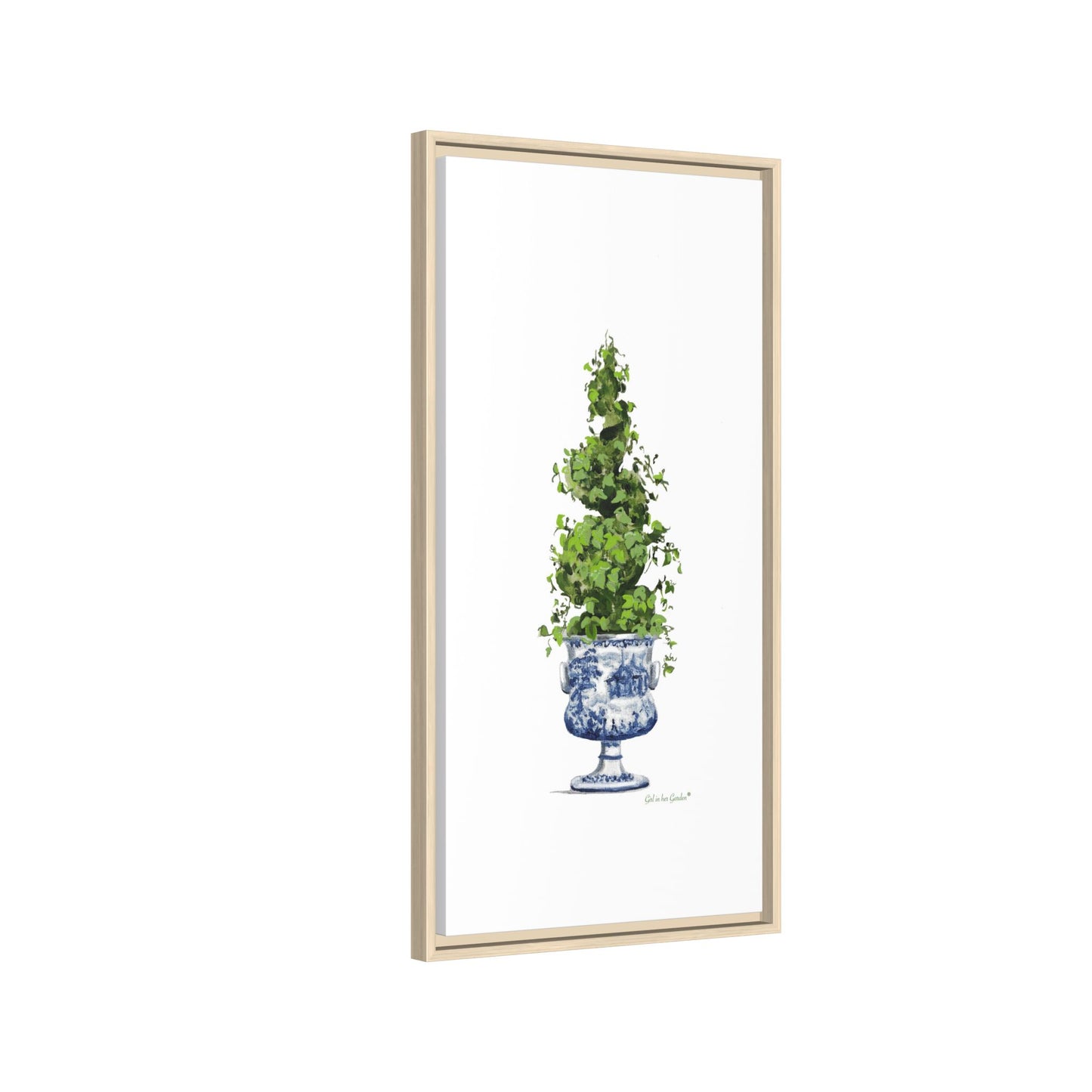 Topiary Spiral Tree Canvas Print