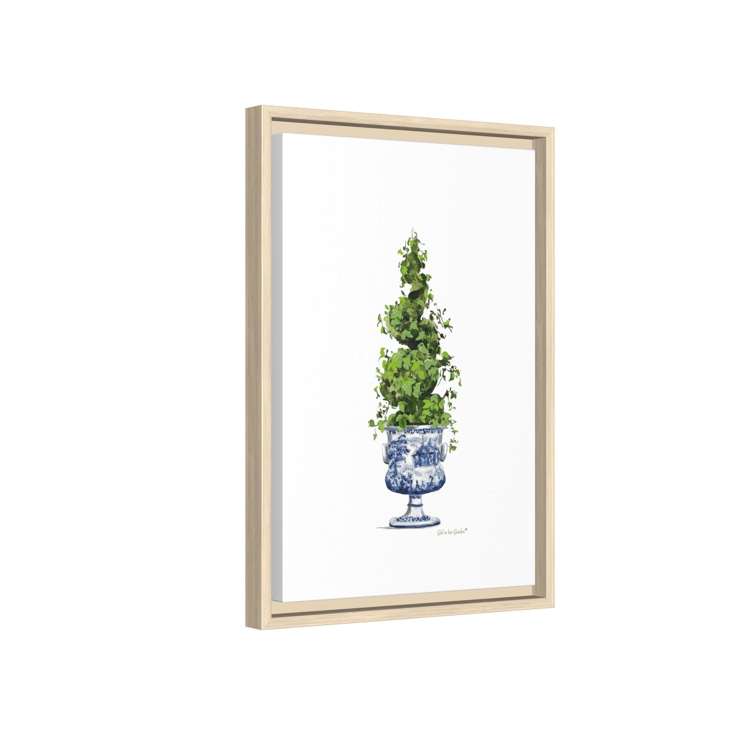 Topiary Spiral Tree Canvas Print