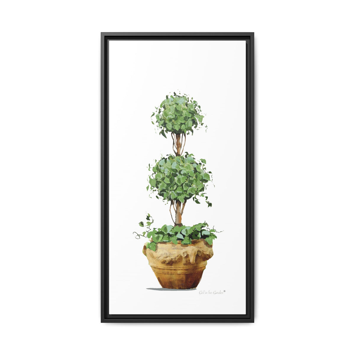 Double Topiary Garden Planter Framed Canvas