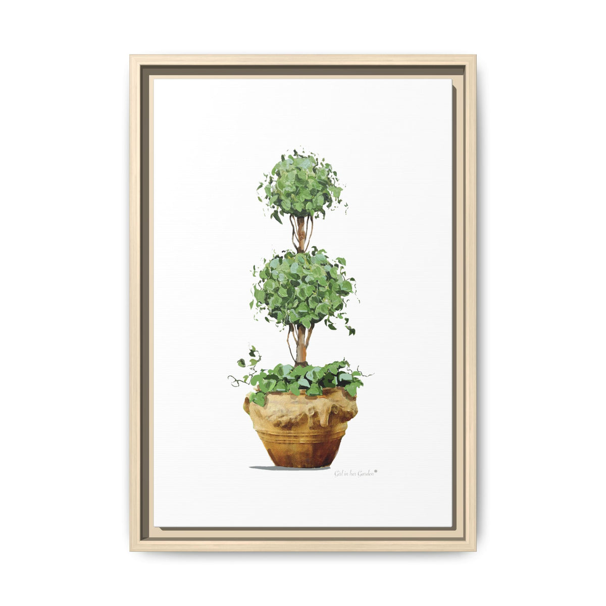Double Topiary Garden Planter Framed Canvas