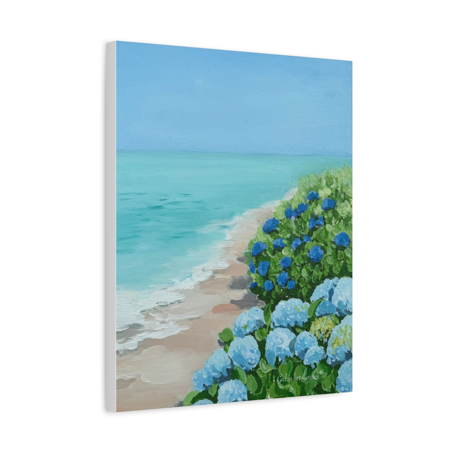 Hydrangeas by the Sea 2