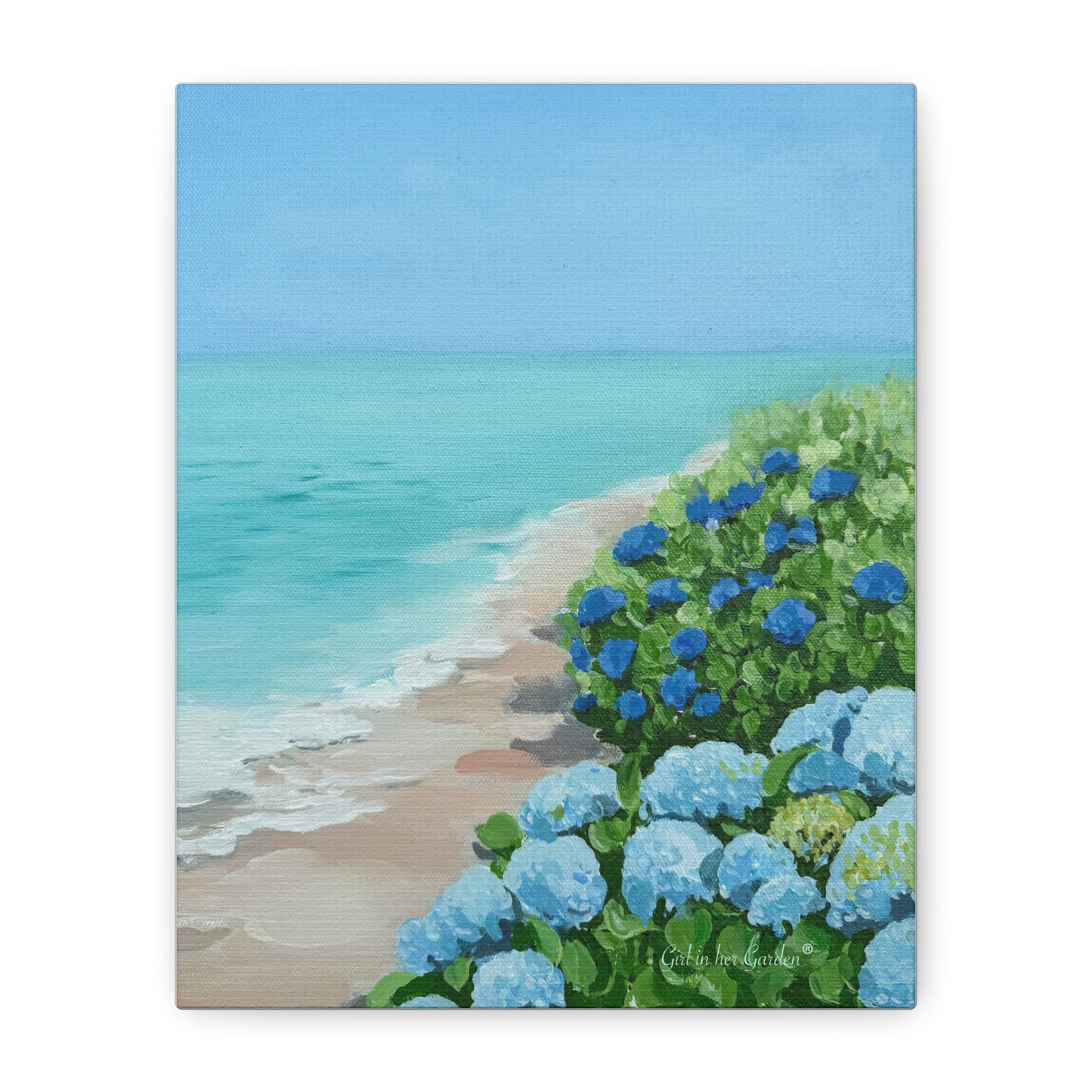 Hydrangeas by the Sea 2