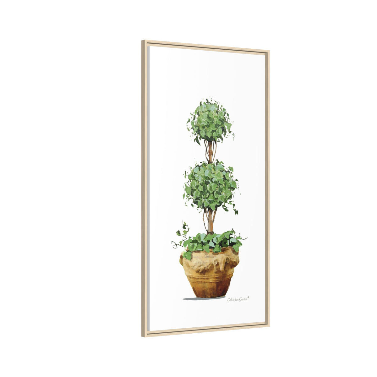 Double Topiary Garden Planter Framed Canvas