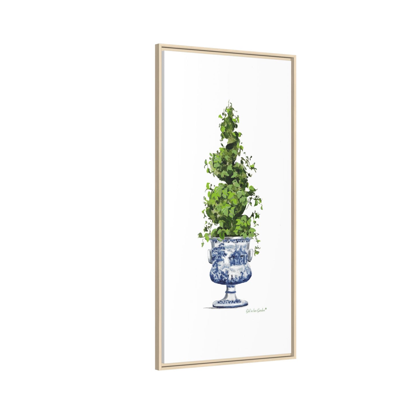 Topiary Spiral Tree Canvas Print