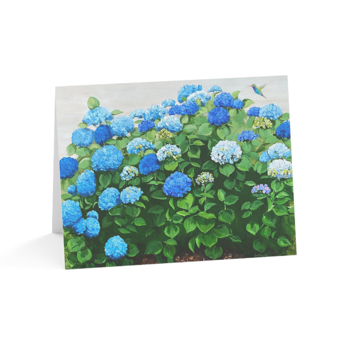 Hydrangea NoteCards