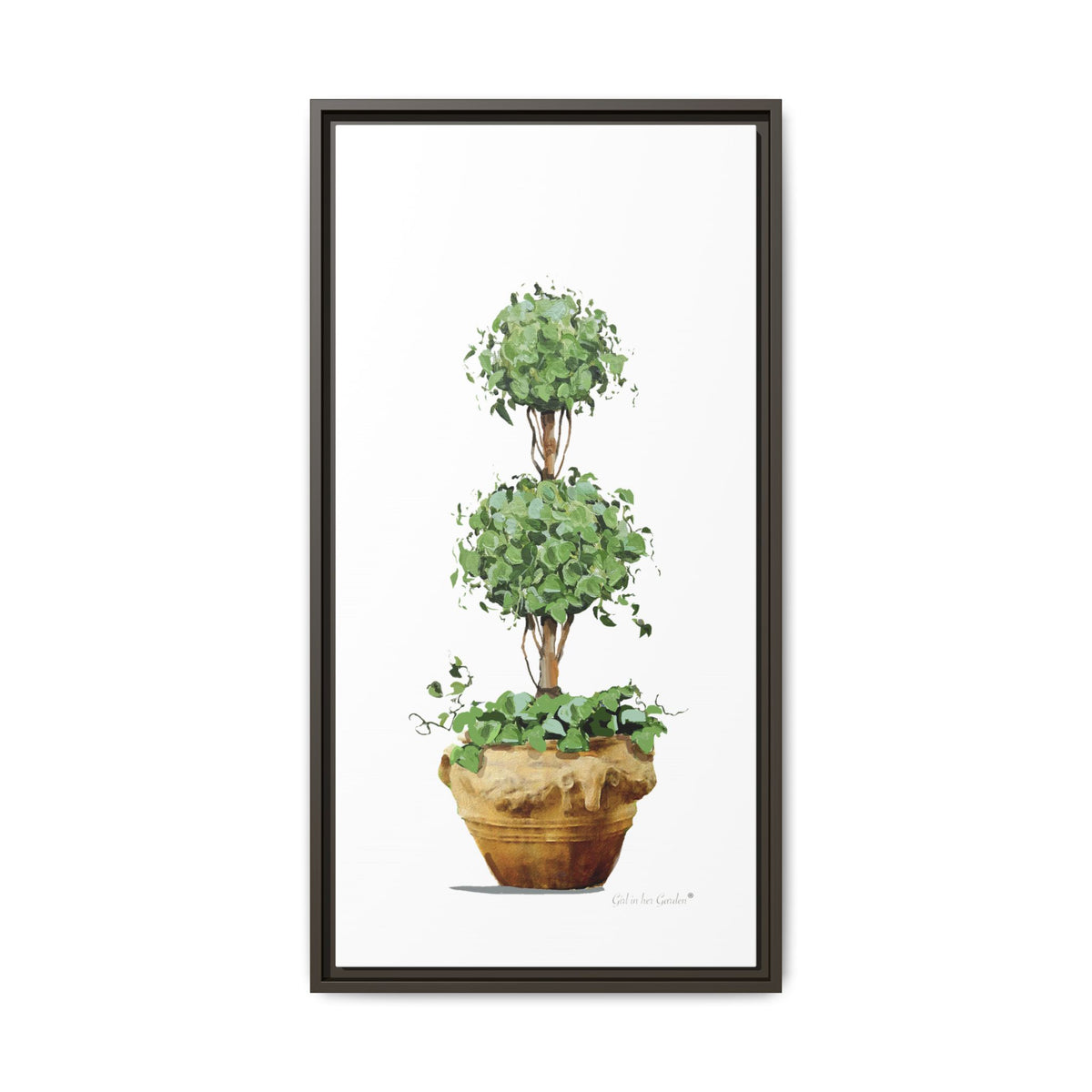 Double Topiary Garden Planter Framed Canvas