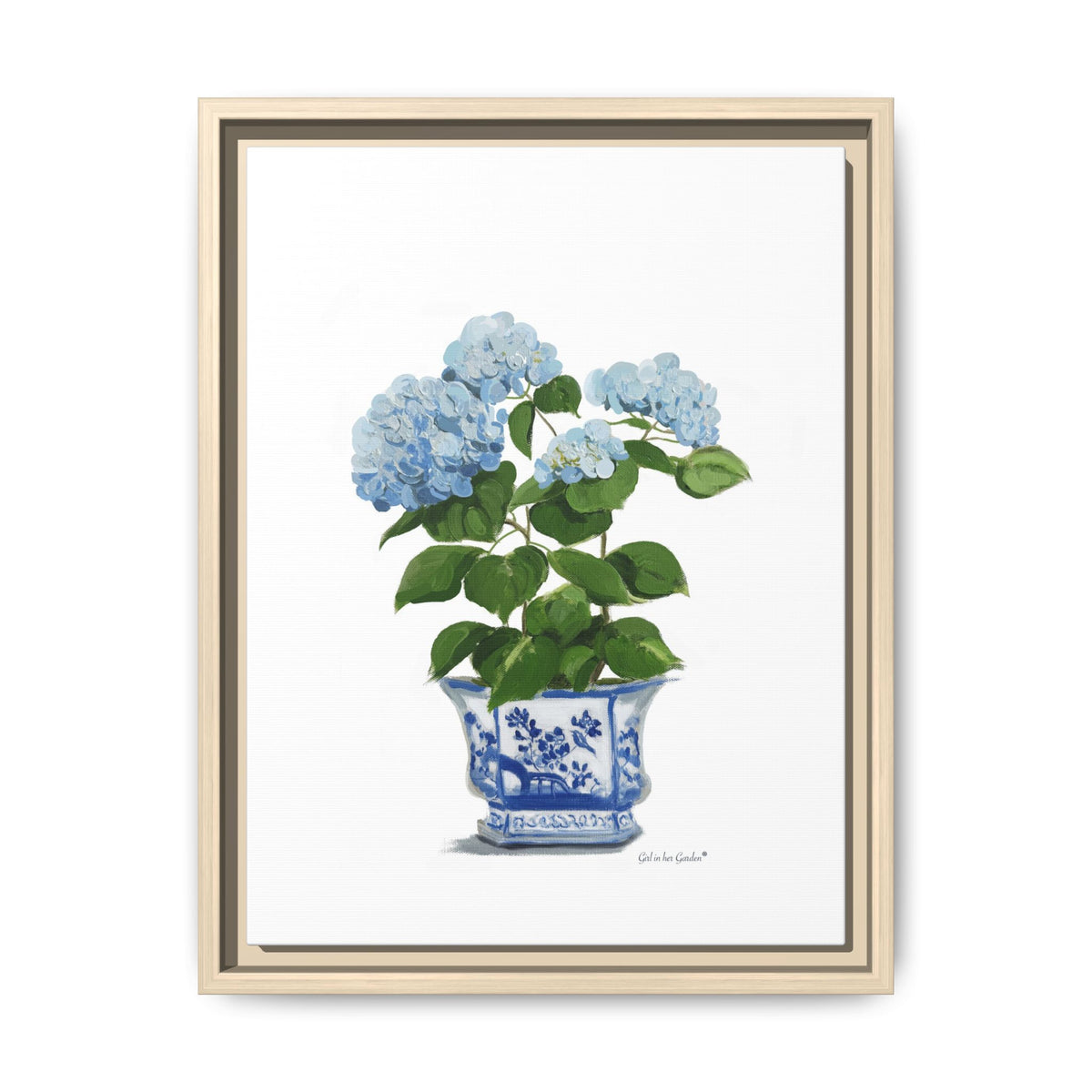 Lt. Blue Hydrangeas, Framed Canvas