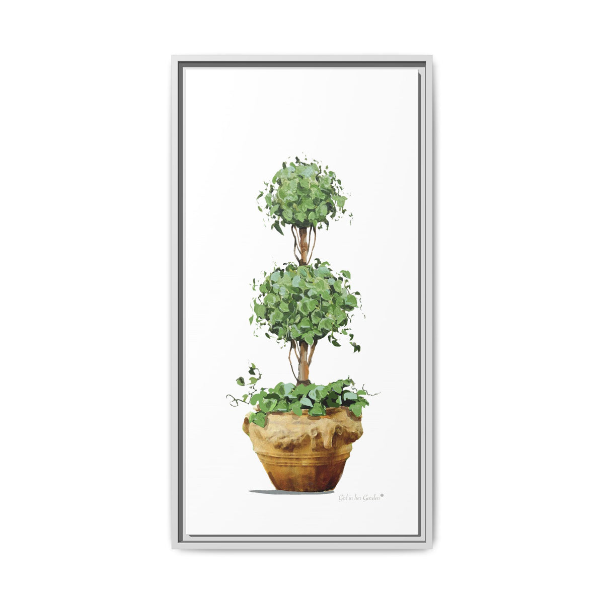 Double Topiary Garden Planter Framed Canvas