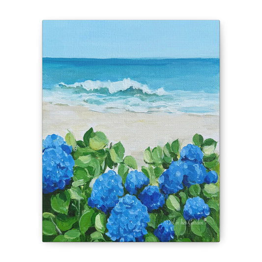 Hydrangeas by The Sea