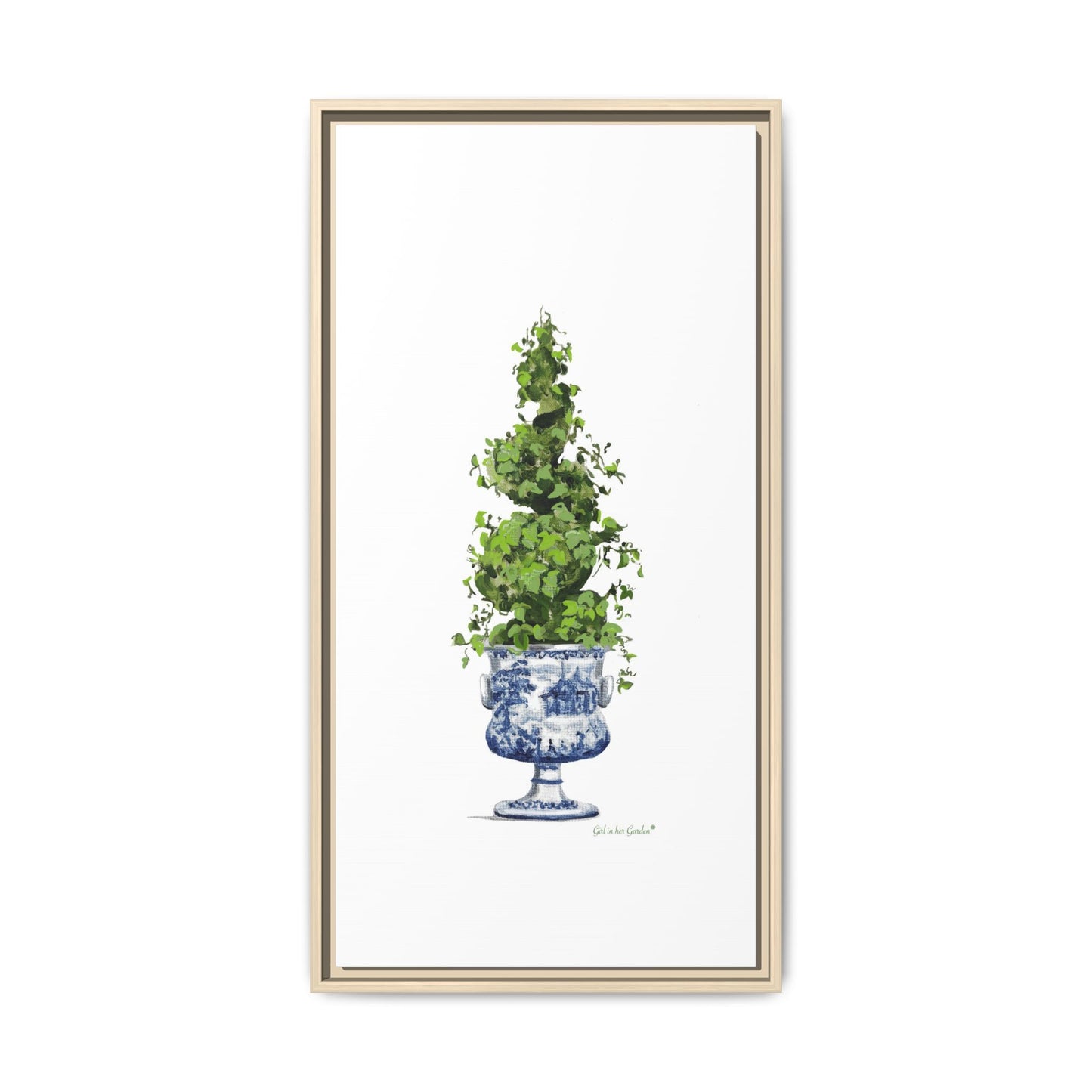 Topiary Spiral Tree Canvas Print