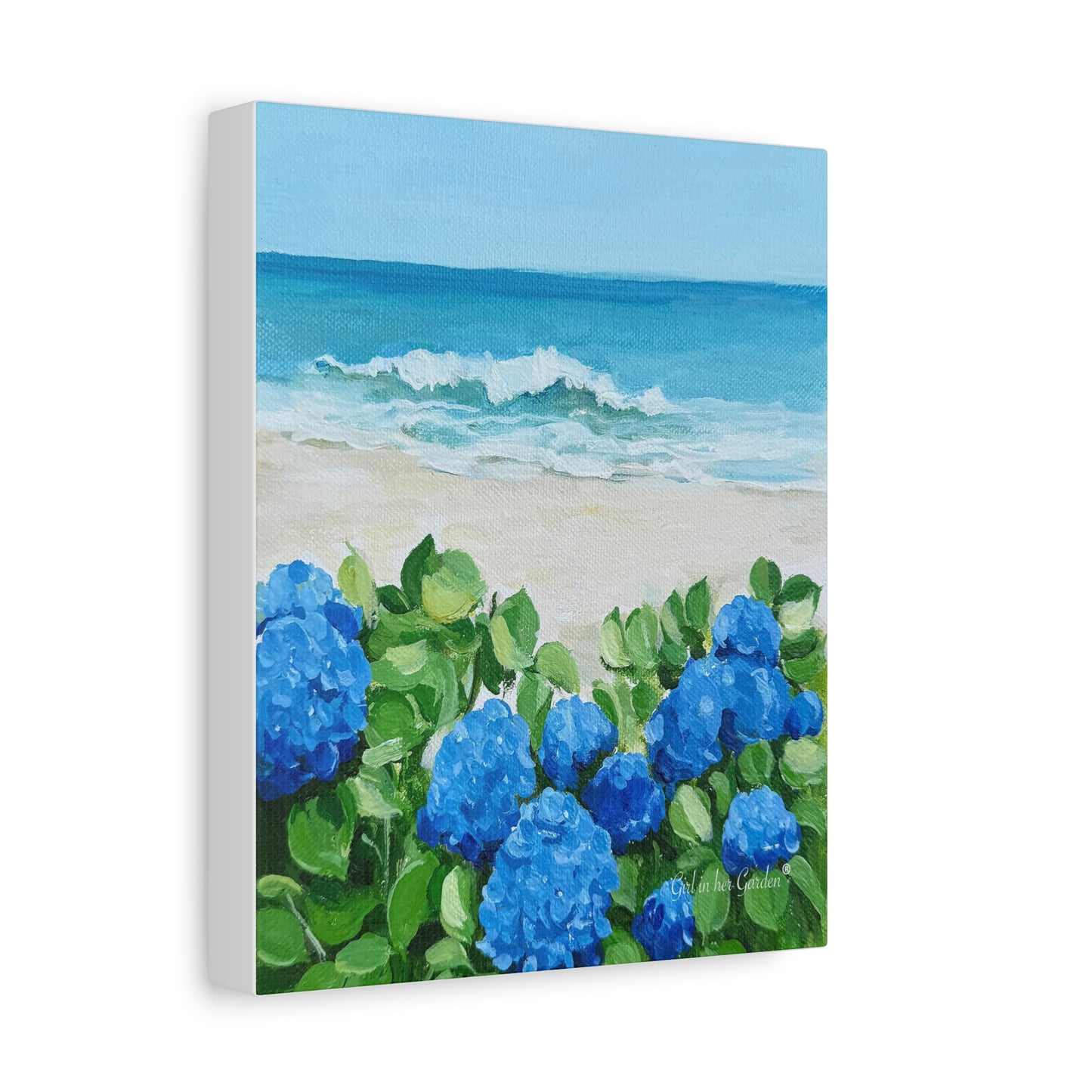 Hydrangeas by The Sea