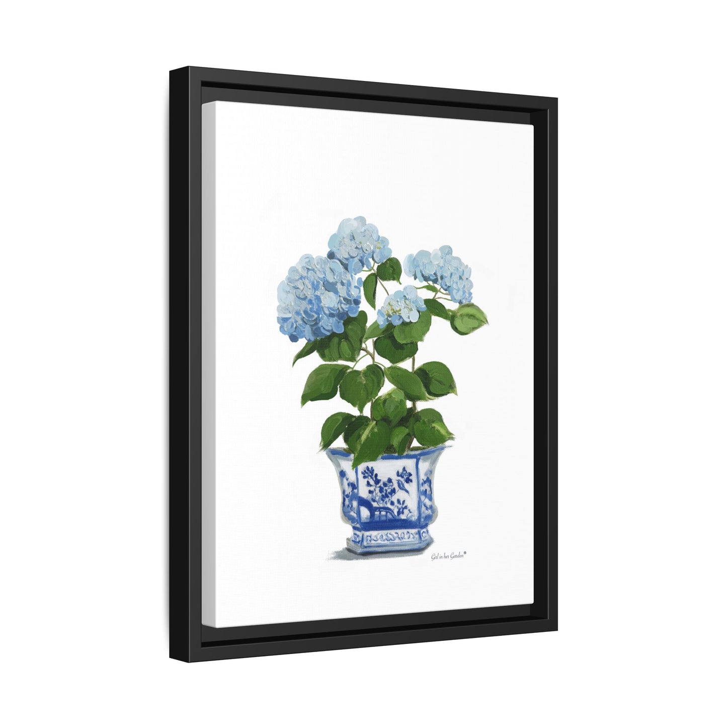 Lt. Blue Hydrangeas, Framed Canvas