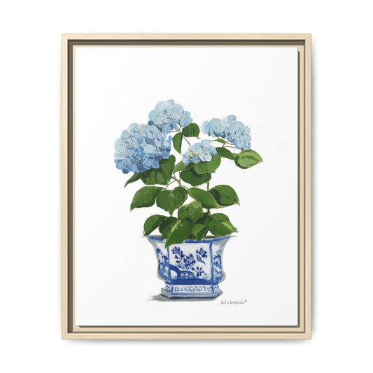 Lt. Blue Hydrangeas, Framed Canvas