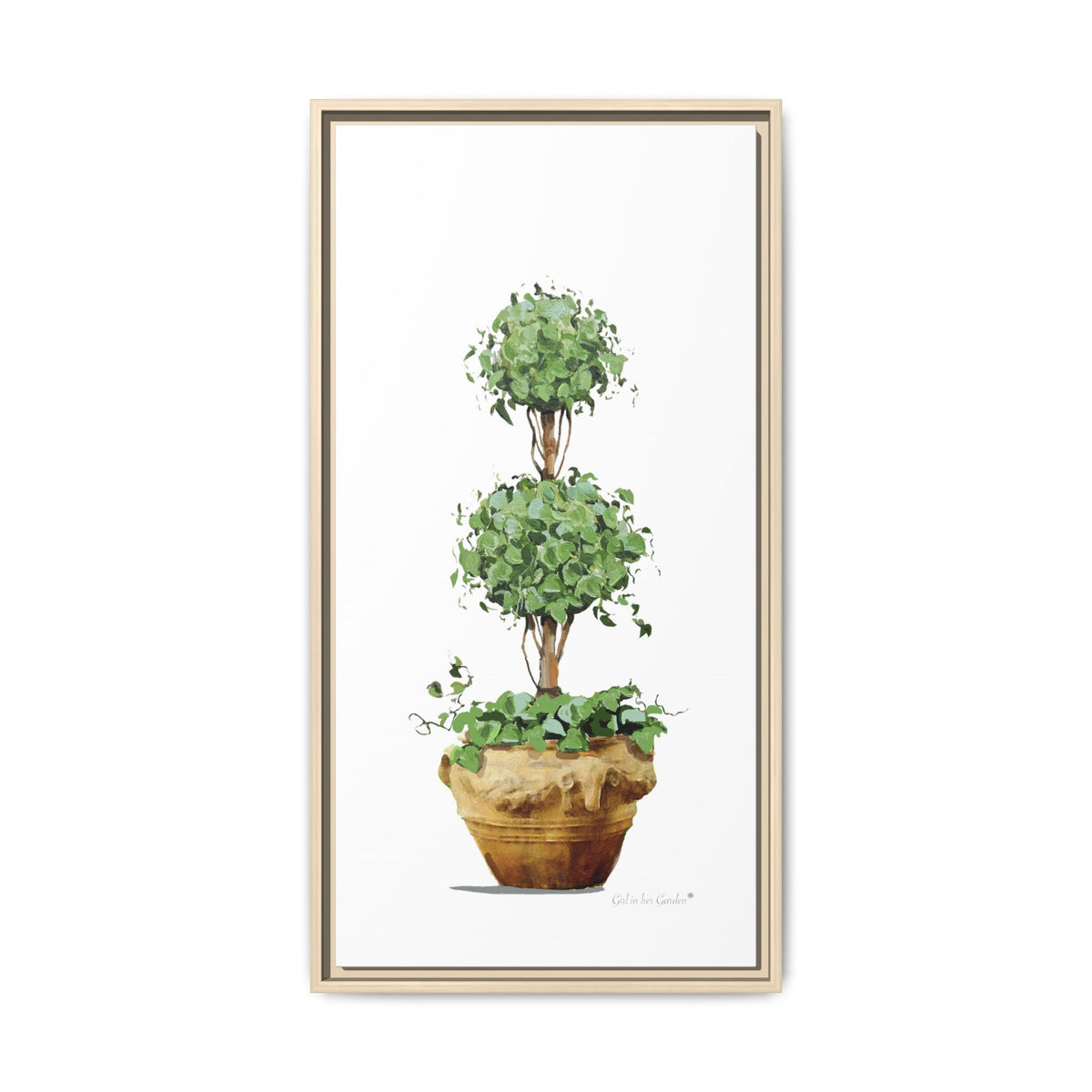Double Topiary Garden Planter Framed Canvas