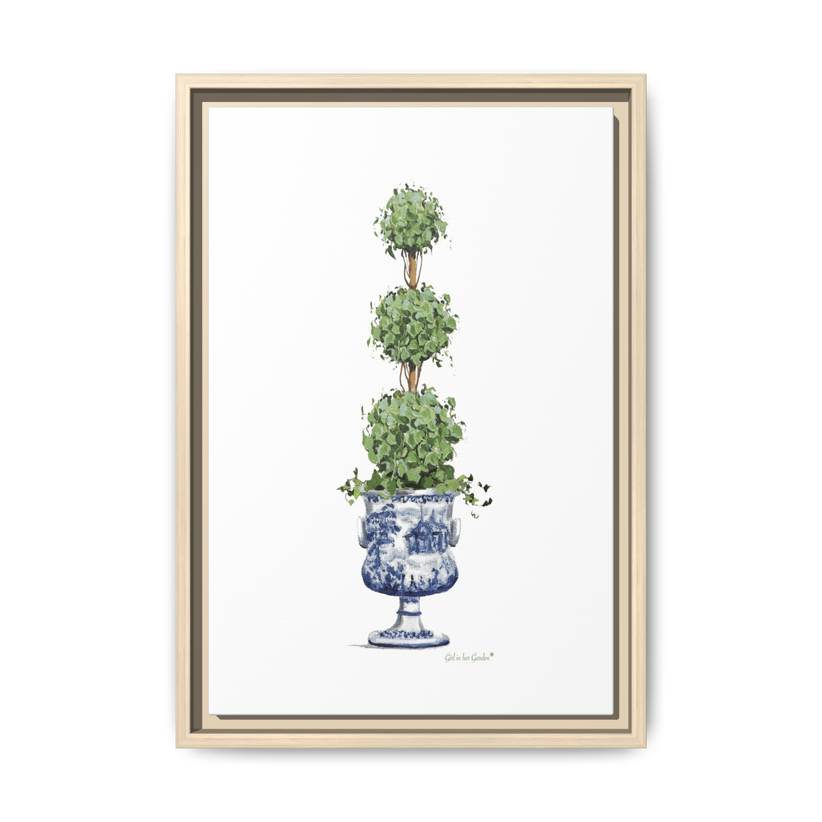 Triple Topiary with ivy, framed Canvas