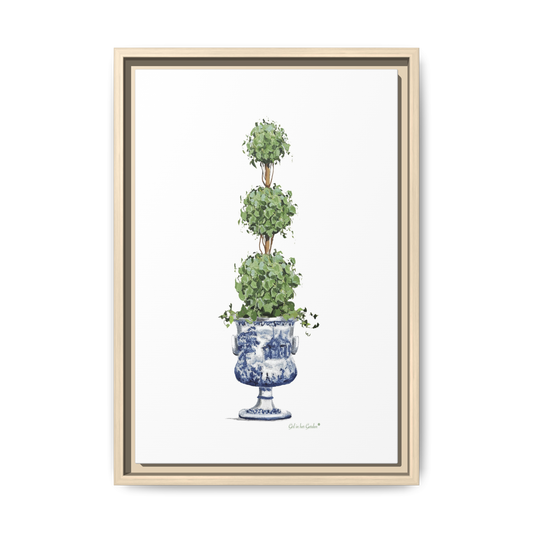 Triple Topiary with ivy, framed Canvas