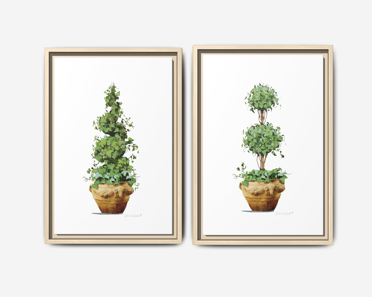 Topiary Garden Planter Set, Framed Canvas