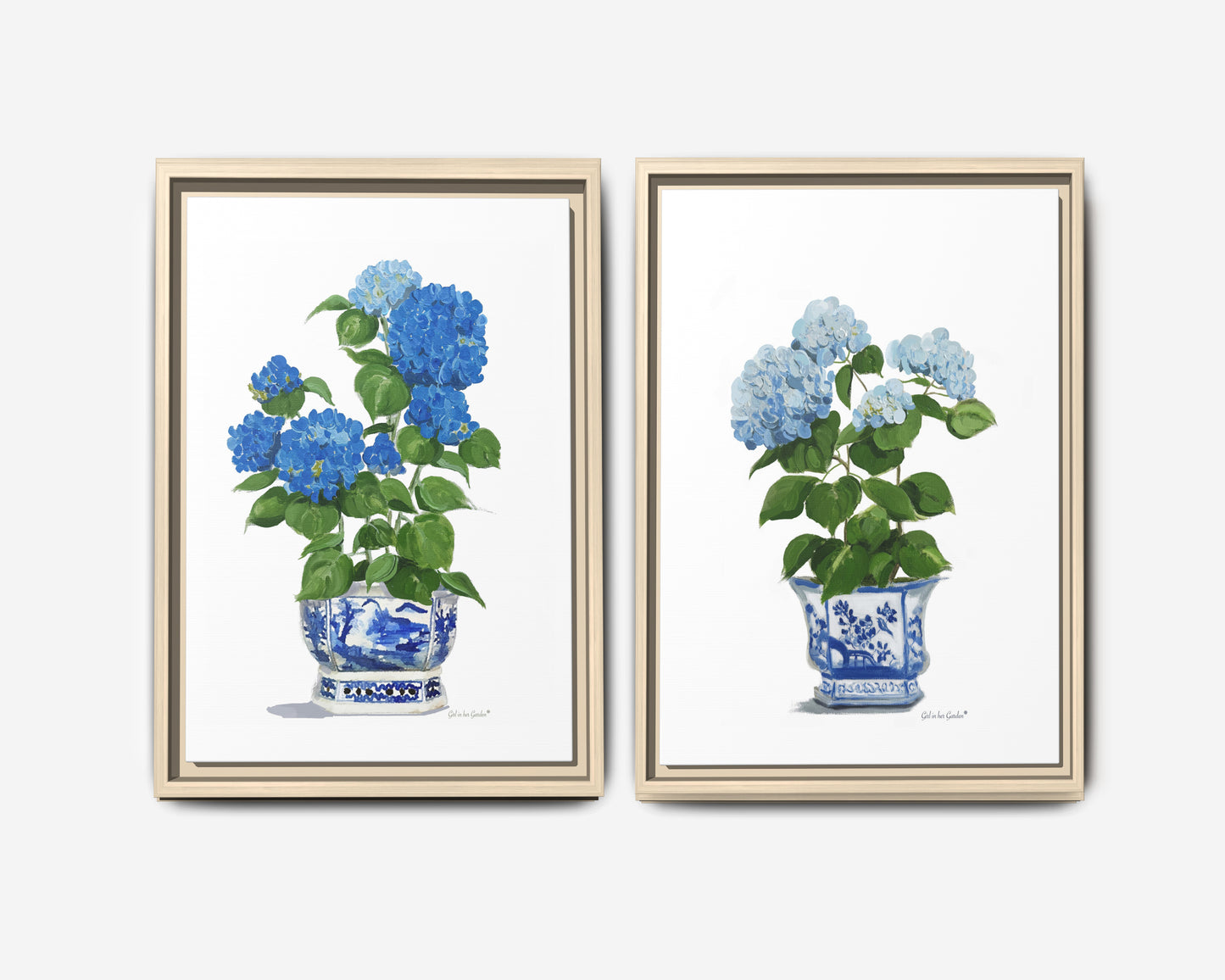Nikko Blue Hydrangeas, Framed Canvas Set