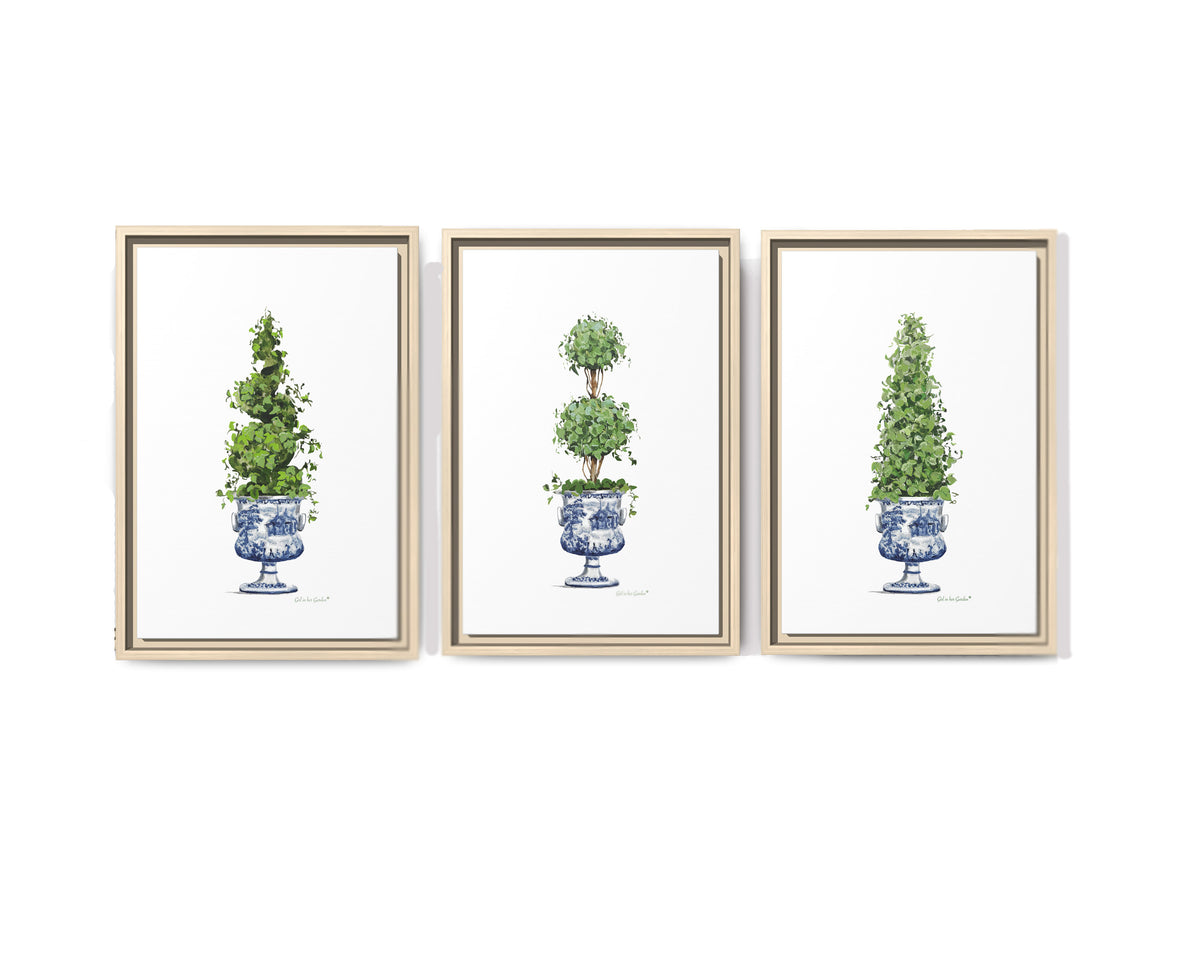 Topiary Trees, Framed Canvas Set of Three