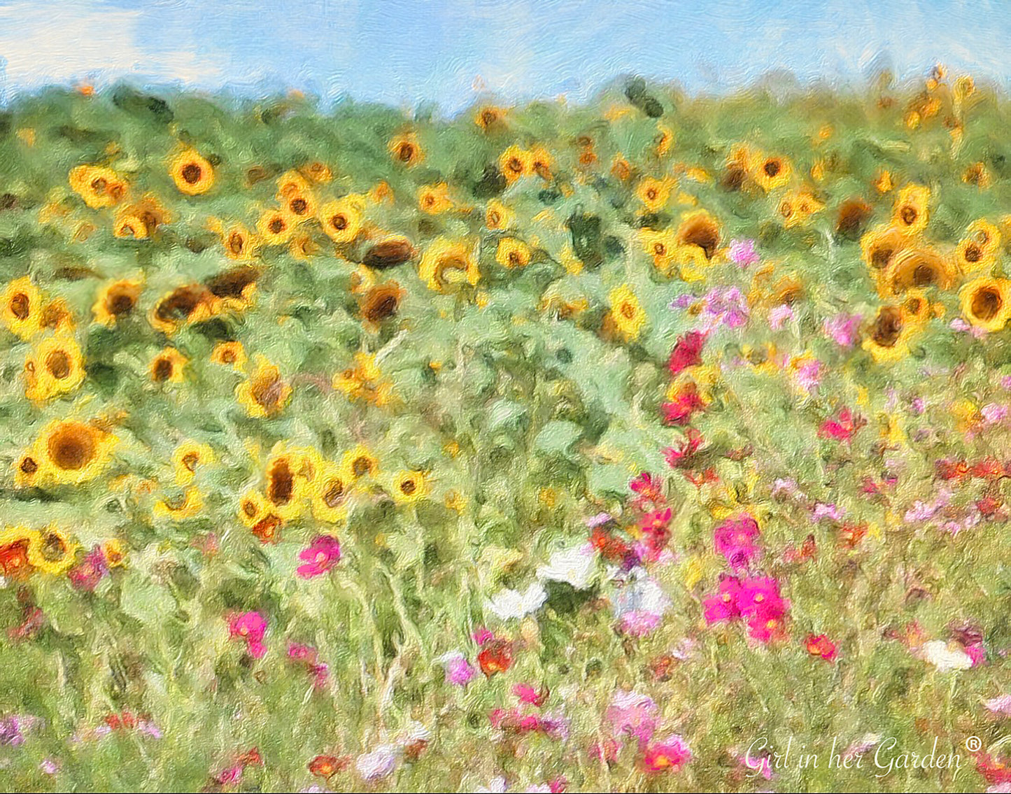 Pink Cosmos & Sunflower Throw Blanket